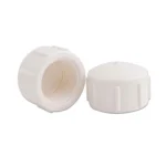 Cap Tampão Roscável 1'' Branco Plastilit